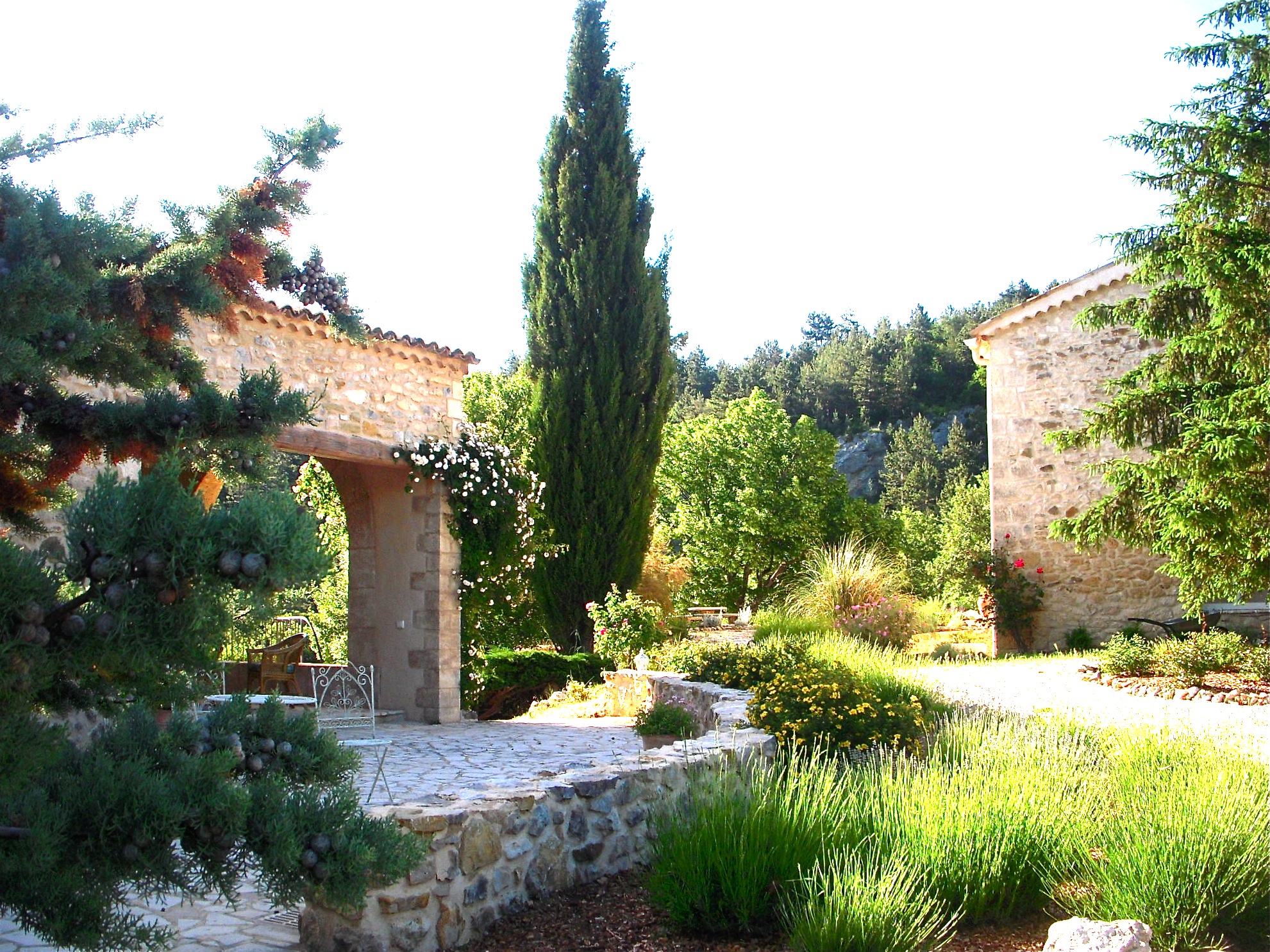 CYprès terrasse