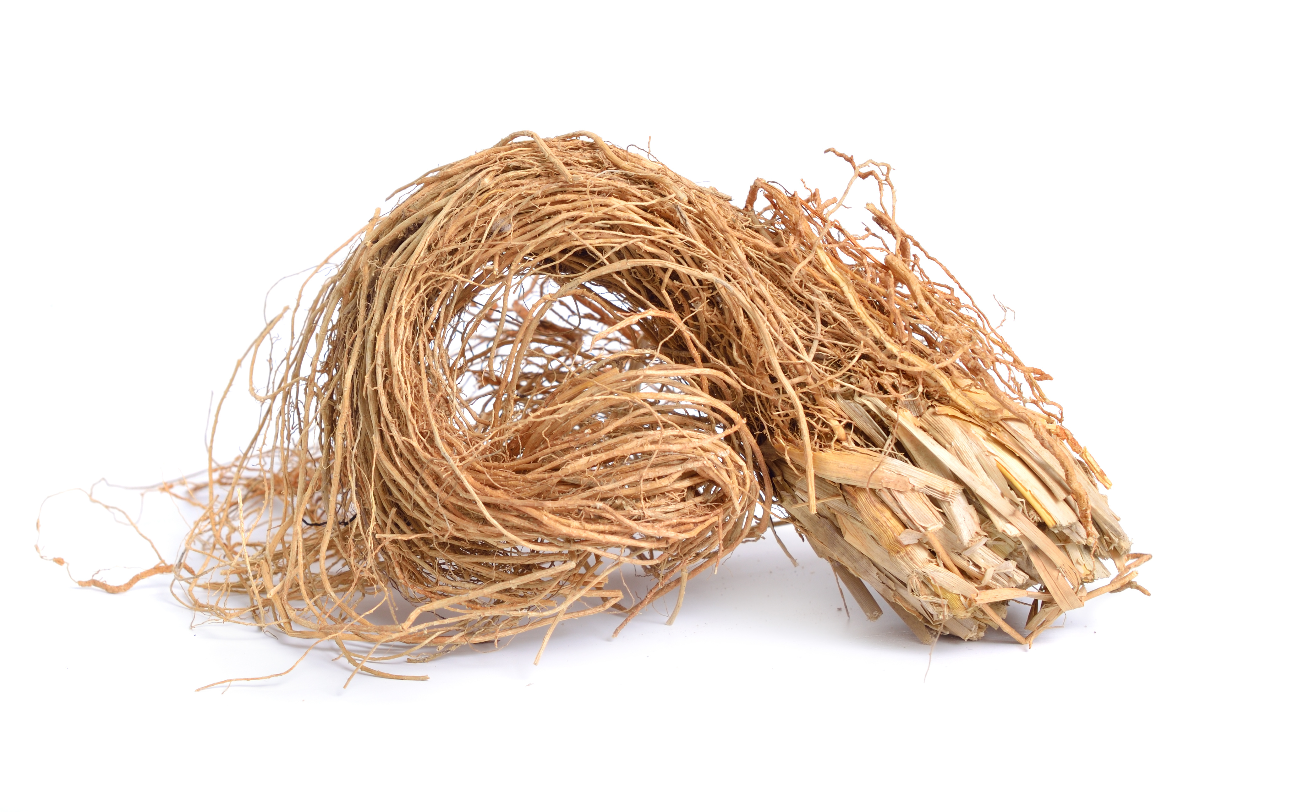 Roots of Chrysopogon zizanioides, commonly known as vetiver. Isolated on white background