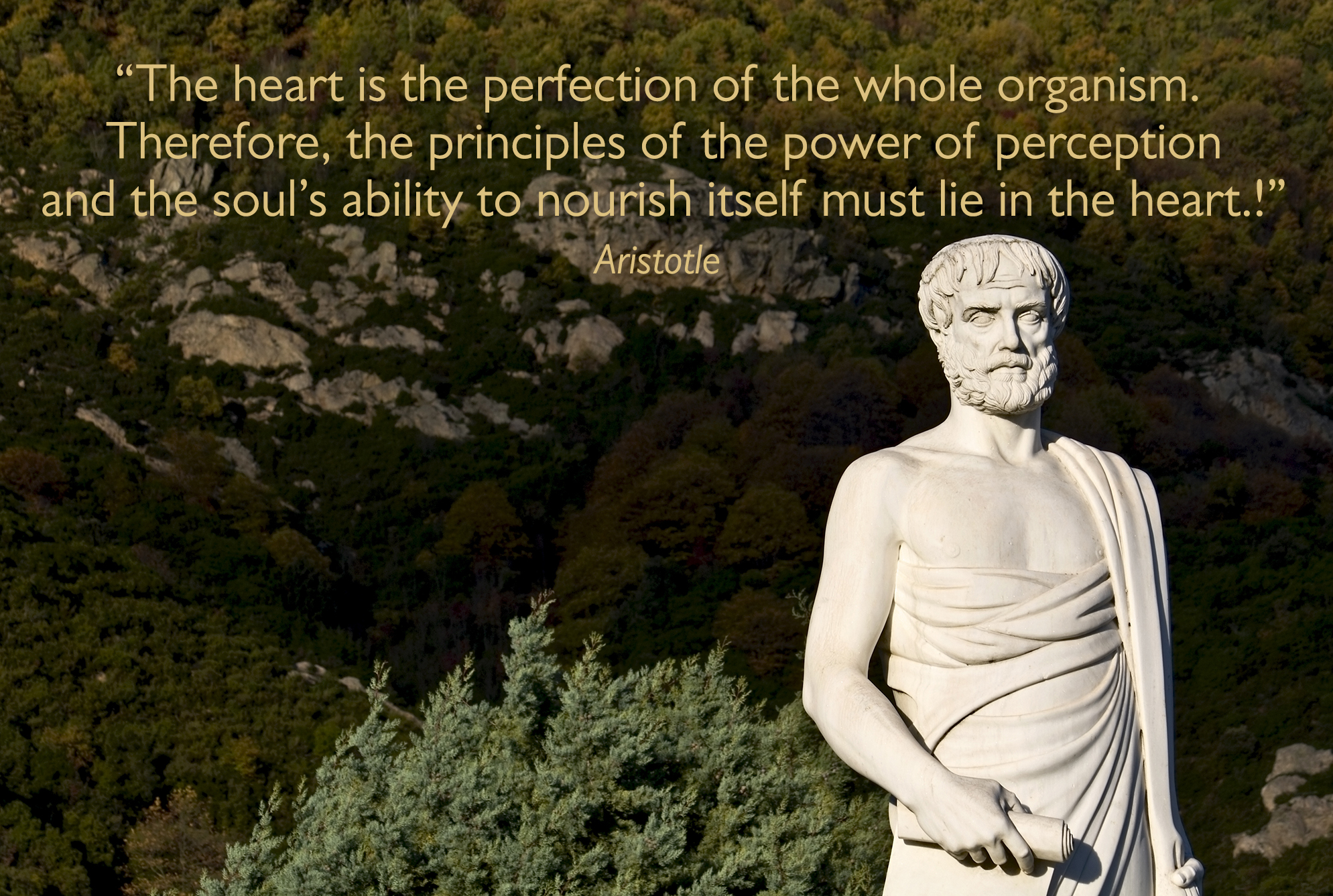 AdobeStock_46639974-quote aristotle-2