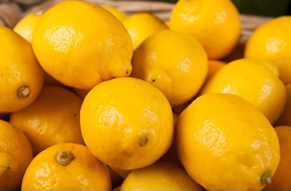 lemon yellowResized big